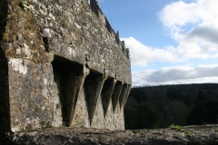 Blarney Castle