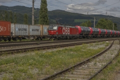 DSCF9800